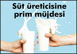 Süt üreticisine prim müjdesi